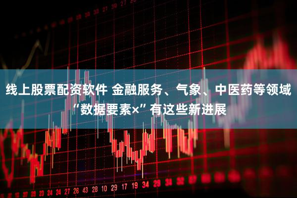 线上股票配资软件 金融服务、气象、中医药等领域“数据要素×”有这些新进展