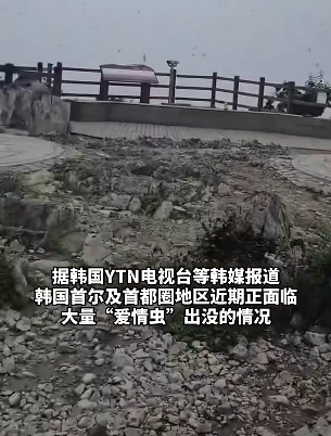 股票配资公司倍杠杆 韩国首尔“爱情虫”爆发，民众崩溃：每天都像在拍恐怖片！